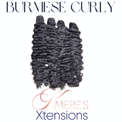 Burmese Curly